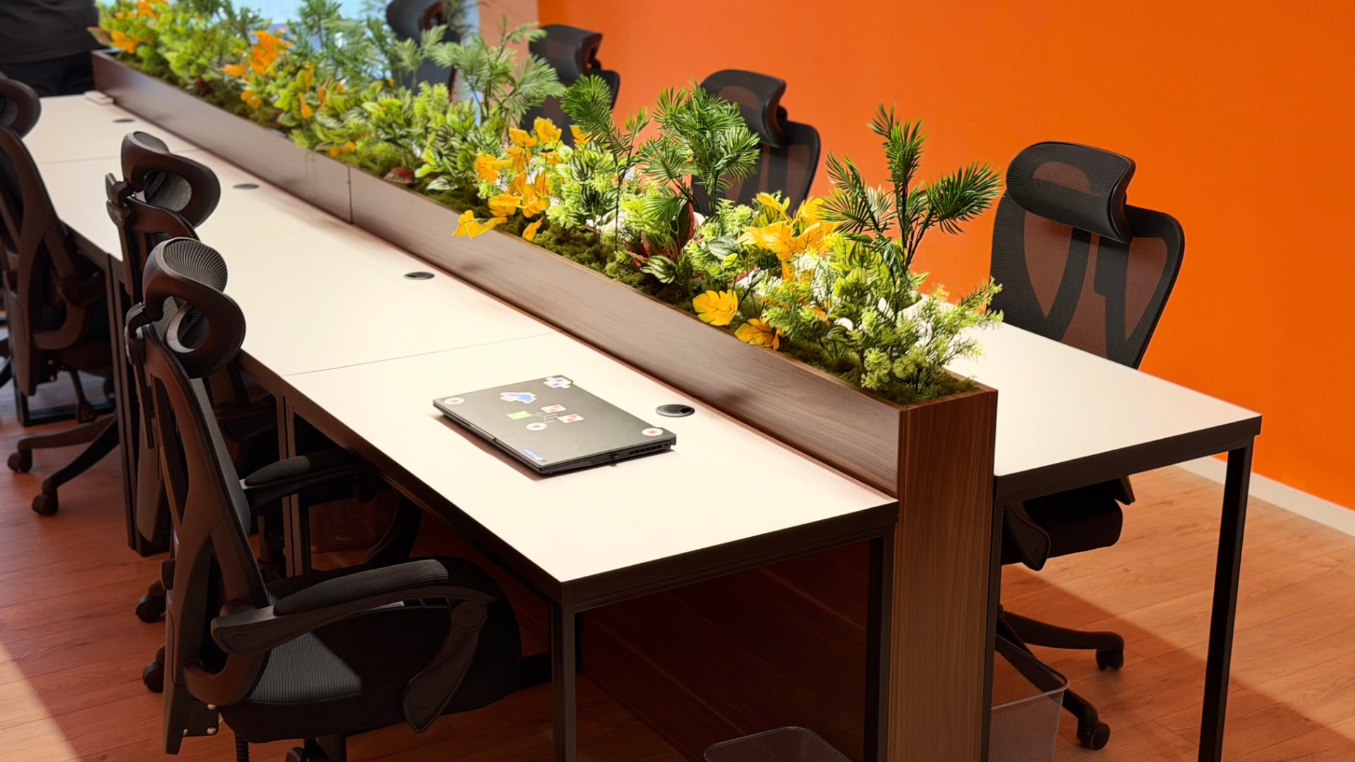 Coworking desks with plant divider, orange wall, chairs, and a laptop at PRN CO-WORK